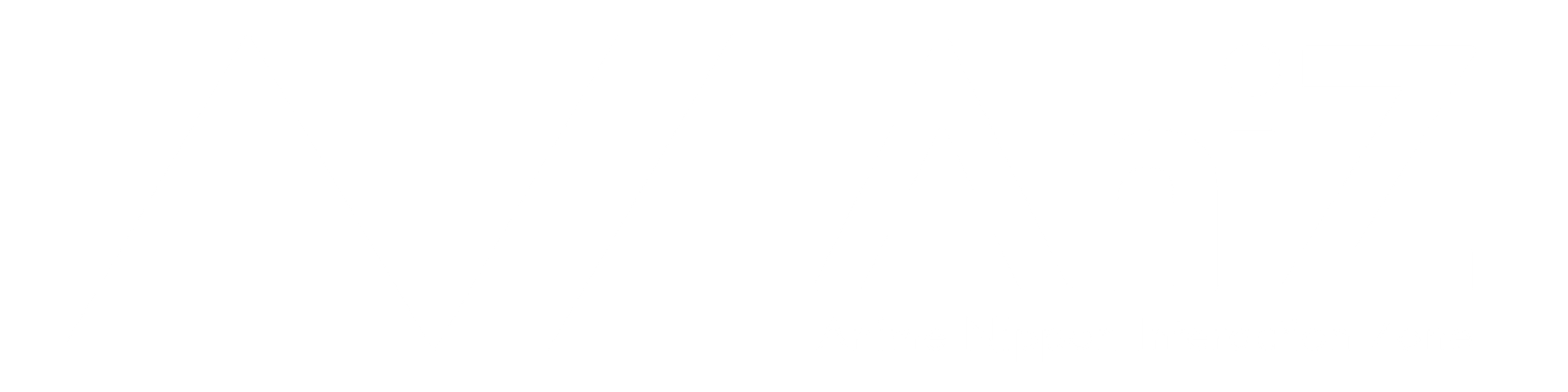 AniZ